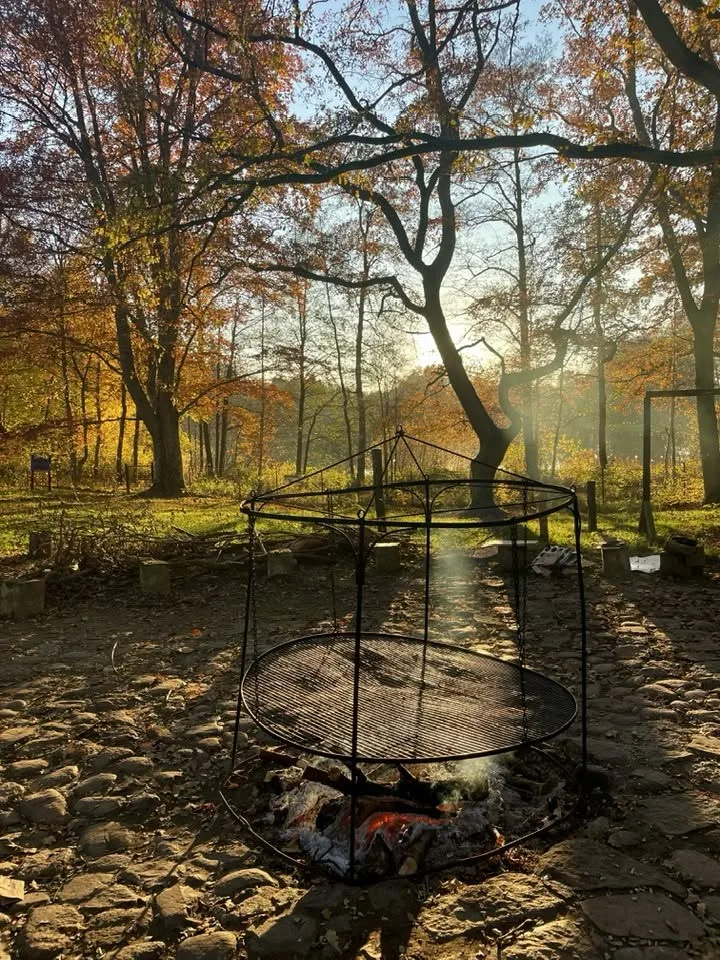 Okrągłe palenisko z rusztem na kamiennym placu w jesiennym parku, w słońcu