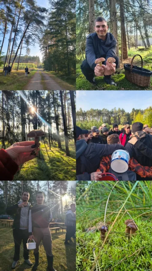 Dobre wieści z Powalice 🏆🍄 Mieliśmy ogromną przyjemność wziąć udział w drugiej edycji Grzybobrania o Puchar S…